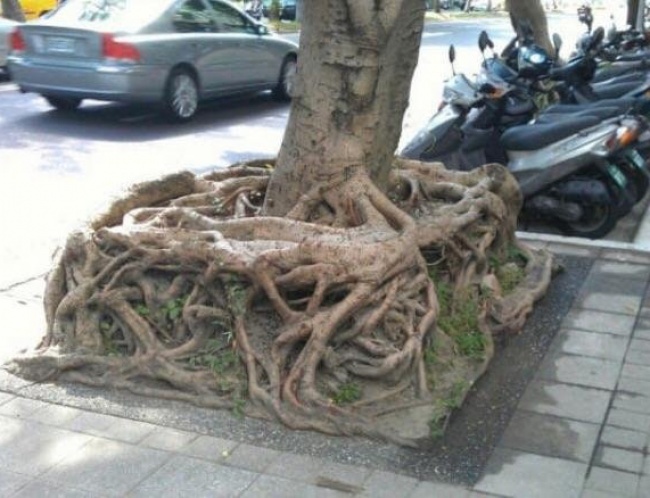 Illustration de l'article : 25 fois où la vie a illustré de vrais jeux de mots