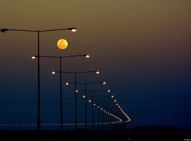 Illustration de l'article : Ces 27 curiosités immortalisées par un appareil photo