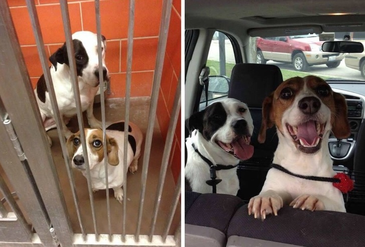 Illustration de l'article : Ces 18 photos qui montrent le bonheur vécu par ces personnes