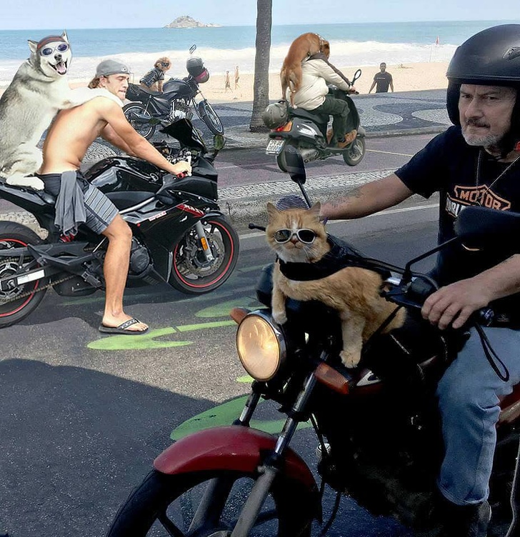 Illustration de l'article : Ces 18 photos de situations bizarres capturées par des internautes