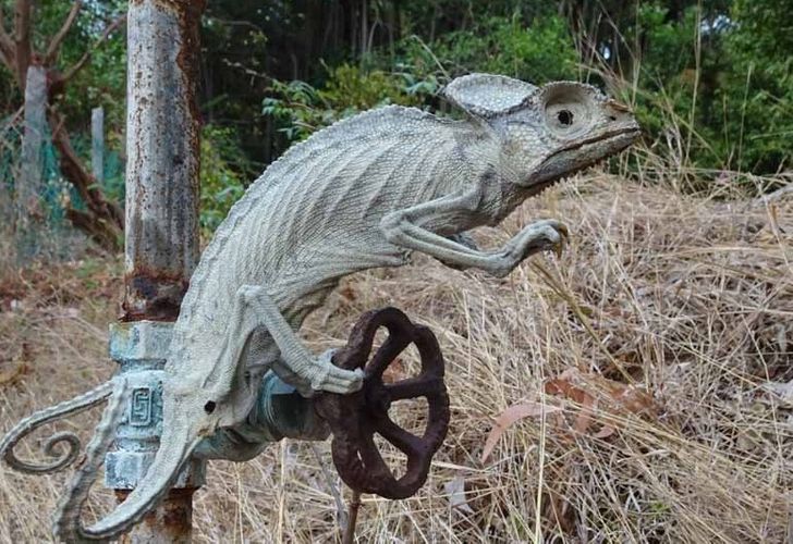 Illustration de l'article : Ces 20 photos illustrant quelques frayeurs de la nature