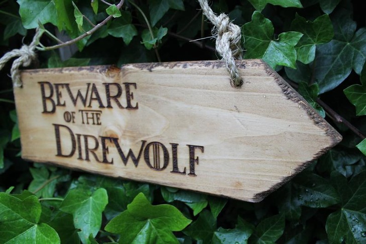 Illustration de l'article : Ces 20 personnes qui vivent chez eux à fond la série Game of Thrones