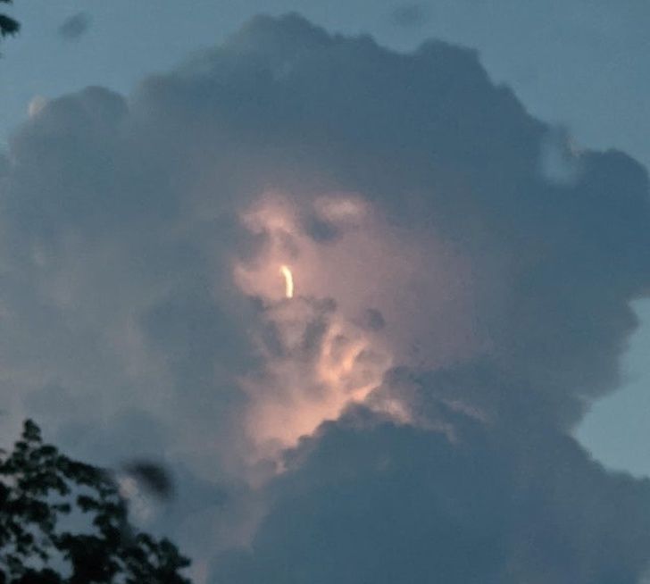 Illustration de l'article : Ces 20 photos qui mettent en avant certaines trouvailles