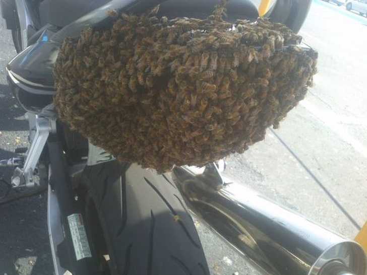 Illustration de l'article : Ces 22 personnes qui ont connu un jour plus difficile que d'habitude