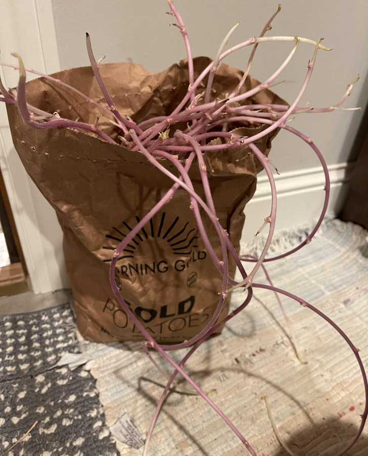 Illustration de l'article : Ces 16 photos qui illustrent les tournures amusantes du quotidien