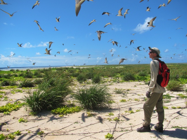 Illustration de l'article : 24 choses &agrave; faire absolument tant qu&rsquo;on est encore jeune