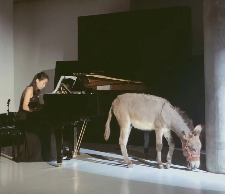 Illustration de l'article : Ces 22 situations qui ne se produisent pas à tous les coins de rue