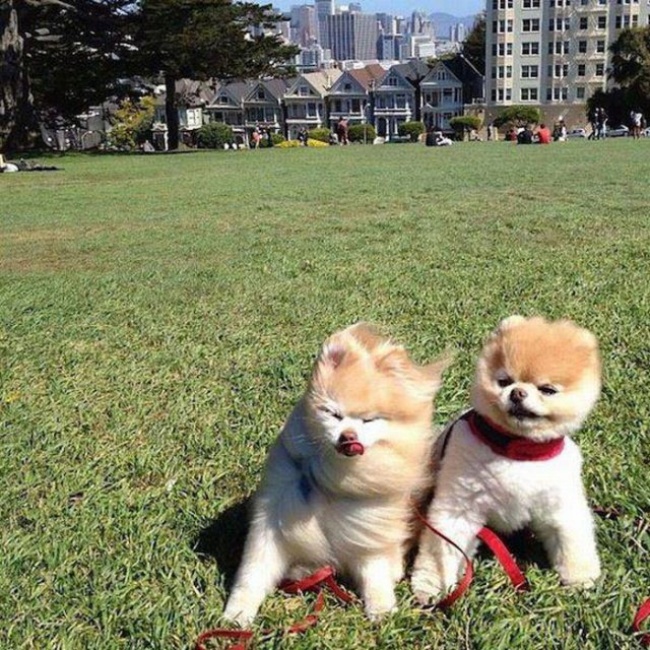 Illustration de l'article : 15 fois où le vent a joué des tours aux gens