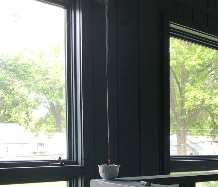 Illustration de l'article : Ces 20 photos qui montrent que la nature est bien faite