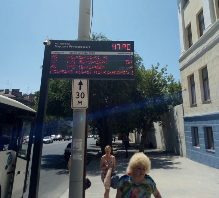 Illustration de l'article : Ces 21 photos qui montrent que l'été peut parfois être difficile à vivre