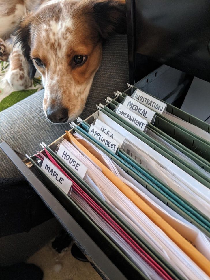 Illustration de l'article : Ces 19 photos qui illustrent les bienfaits du rangement