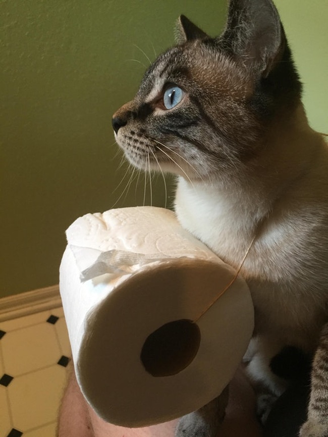 Illustration de l'article : Ces 17 photos qui montrent que les petites attentions sont importantes