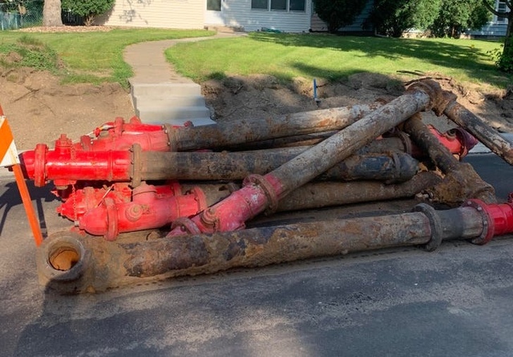 Illustration de l'article : Ces 22 photos saisies au bon moment