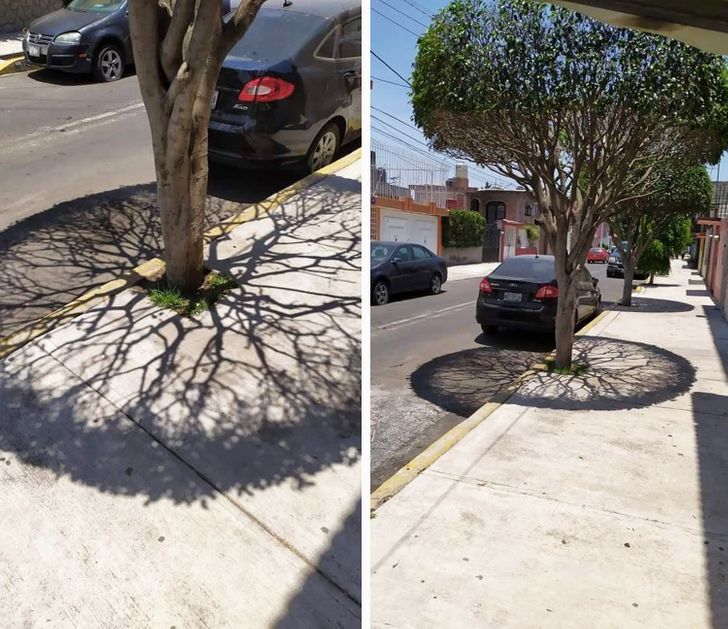 Illustration de l'article : Ces 17 photos qui montrent à quel point la nature est riche