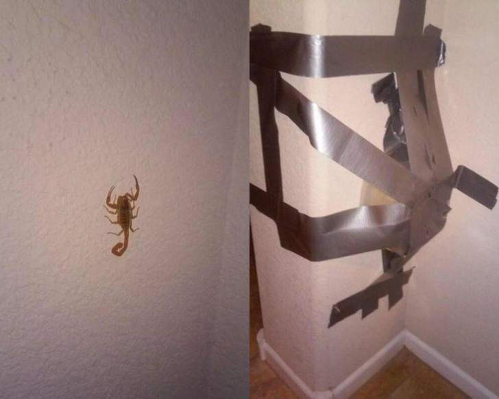 Illustration de l'article : Ces 18 personnes qui font preuve d'imagination au quotidien