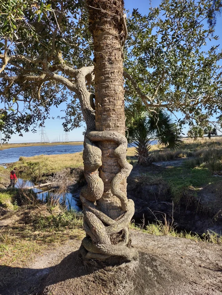 Illustration de l'article : Ces 19 photos qui illustrent les traits d'humour du quotidien