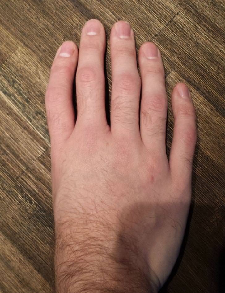 Illustration de l'article : Ces 18 choses qui montrent qu'il faut de tout pour faire un monde