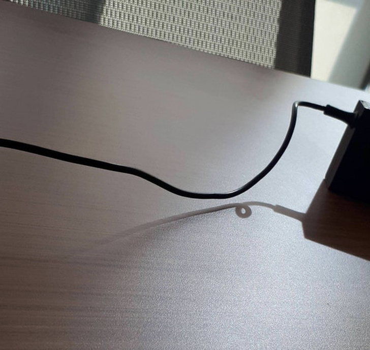 Illustration de l'article : Ces 19 ombres bien différentes de leur corps réel