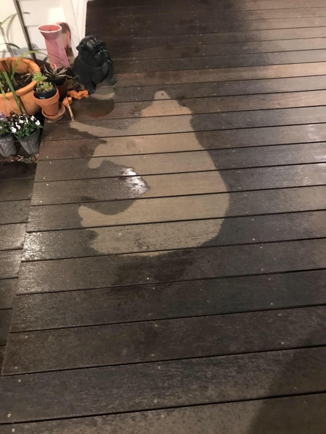 Illustration de l'article : 26 photos d'énigmes naturelles totalement surprenantes