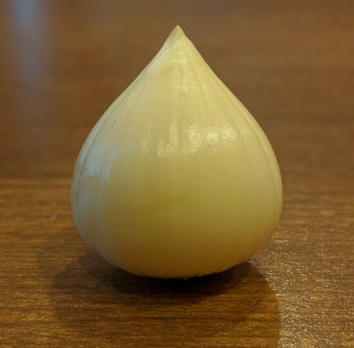 Illustration de l'article : Ces 19 photos qui montrent des situations satisfaisantes pour l'oeil