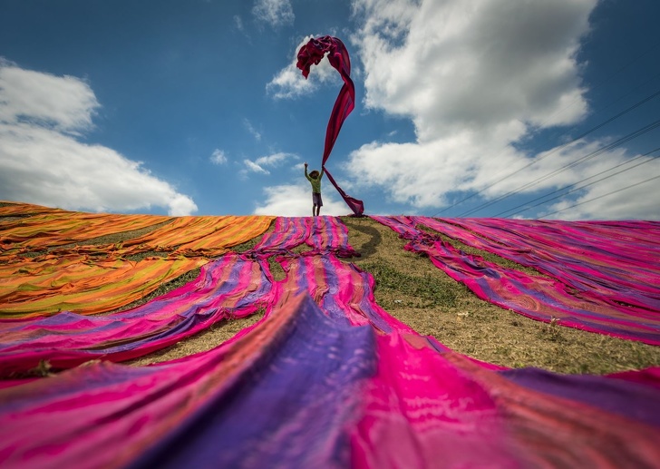 Illustration de l'article : Cette sélection des 19 plus belles photos de 2018