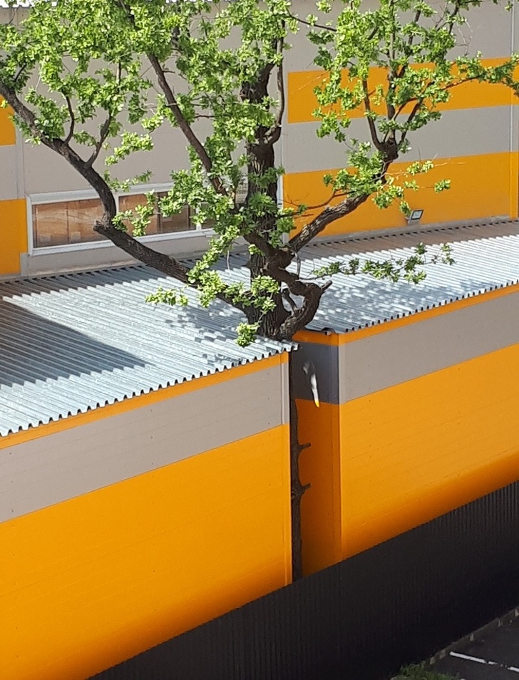 Illustration de l'article : Ces 14 photos semblent ordinaires mais derrière elles se cachent une histoire