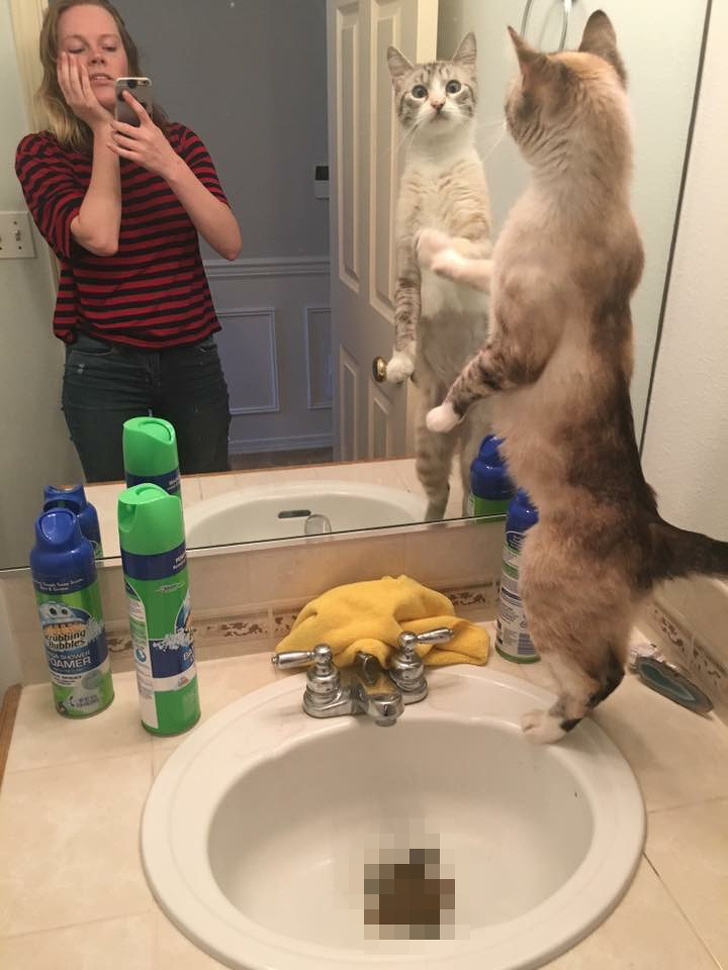 Illustration de l'article : Ces 17 ratés dès le lever du lit qui annoncent une journée compliquée