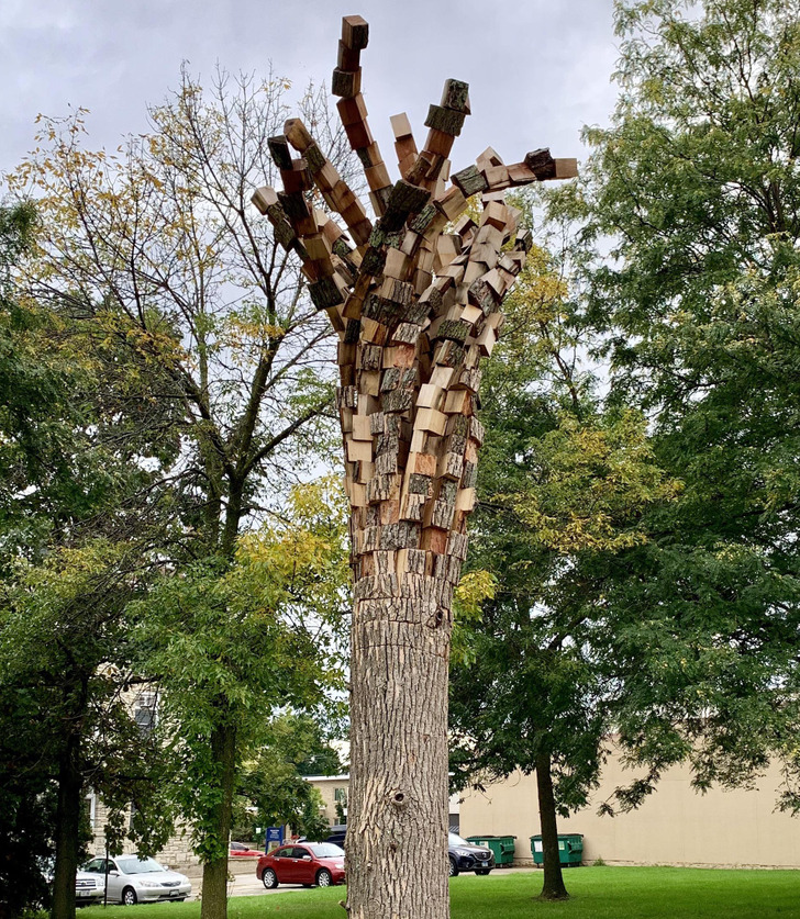 Illustration de l'article : Ces 15 photos de maladresses transformées en idées de génie