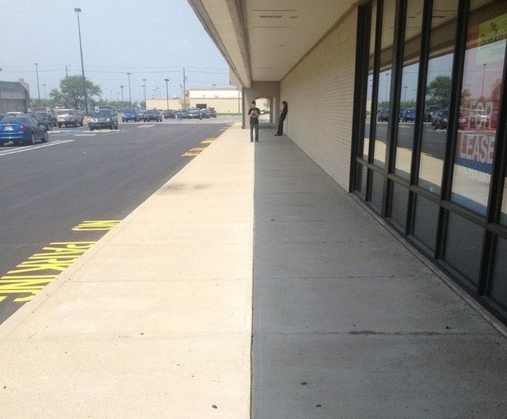 Illustration de l'article : Ces 20 photos qui montrent que la nature est bien faite