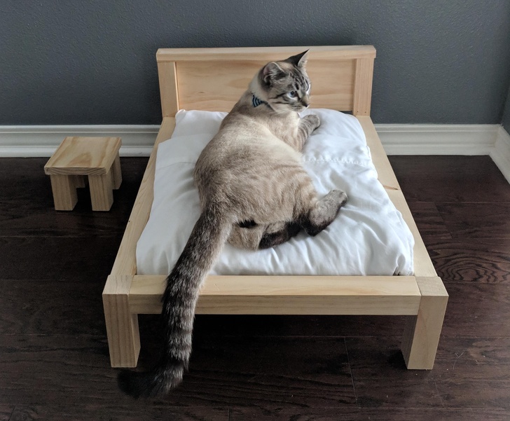 Illustration de l'article : Ces 21 photos qui montrent que la vie de famille n'est pas de tout repos