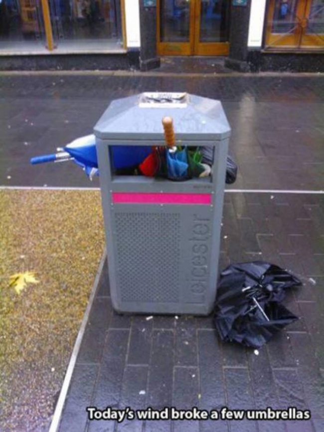 Illustration de l'article : 15 fois où le vent a joué des tours aux gens