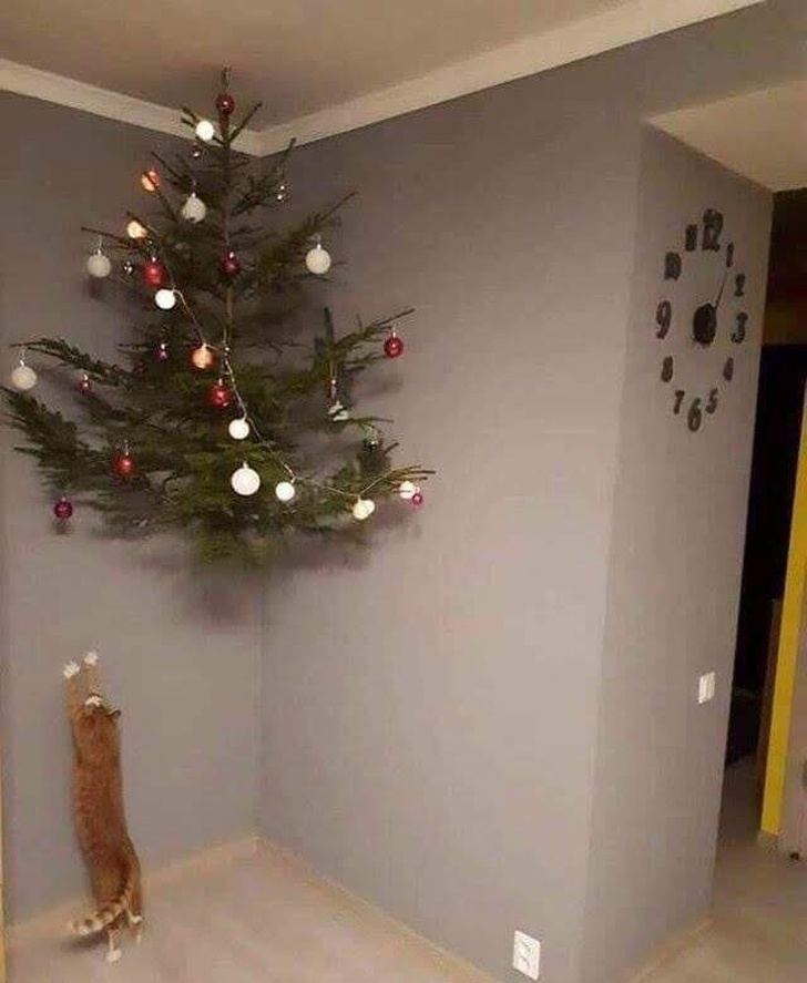 Illustration de l'article : Ces 17 idées lumineuses de personnes qui ne veulent pas se fatiguer 