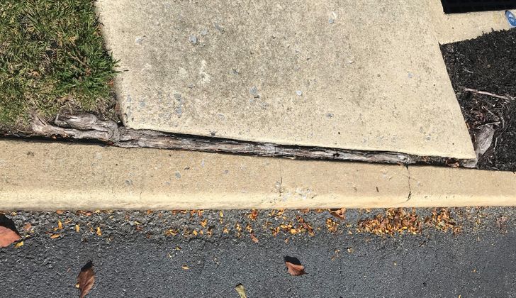 Illustration de l'article : Ces 17 photos qui montrent à quel point la nature est riche