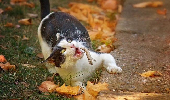 Illustration de l'article : 30 photographies non retouch&eacute;es prises quelques secondes avant une chute in&eacute;vitable