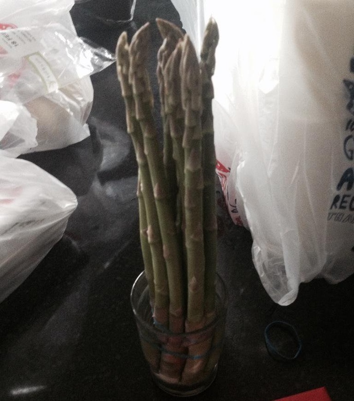 Illustration de l'article : Ces 18 erreurs qui ont été préjudiciables pour leurs auteurs