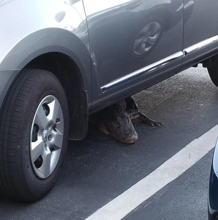 Illustration de l'article : Ces 20 photos qui donnent le frisson