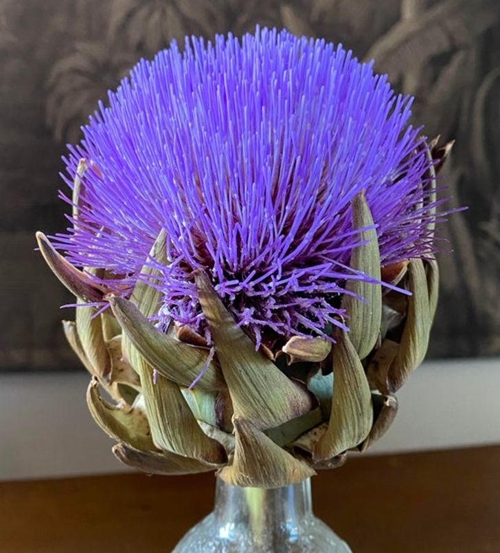 Illustration de l'article : Ces 20 situations dignes d'exp&eacute;riences scientifiques