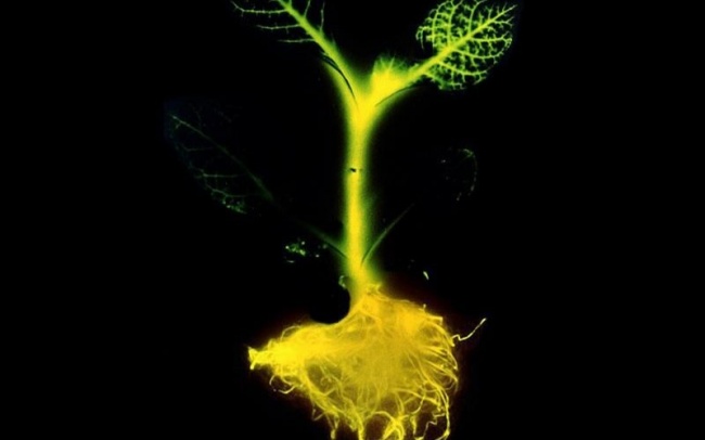 Illustration de l'article : 7 incroyables inventions qui montrent que nous avons rattrap&eacute; le futur 