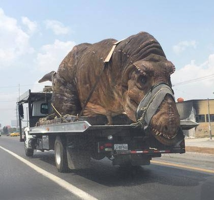 Illustration de l'article : Ces 27 choses bizarres que font certaines personnes