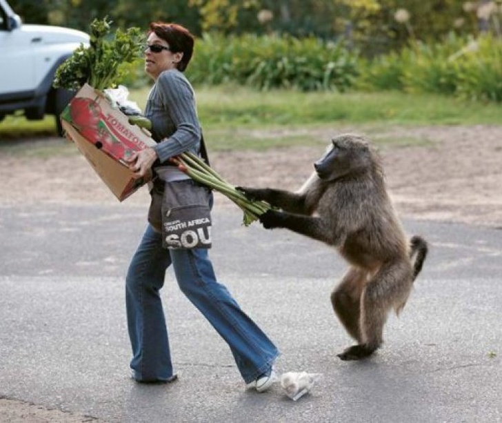 Illustration de l'article : Ces 19 façons de mal démarrer une nouvelle semaine