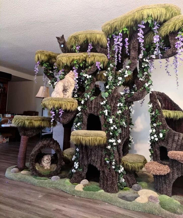 Illustration de l'article : Ces 19 choses et idées créatives pour une maison pratique