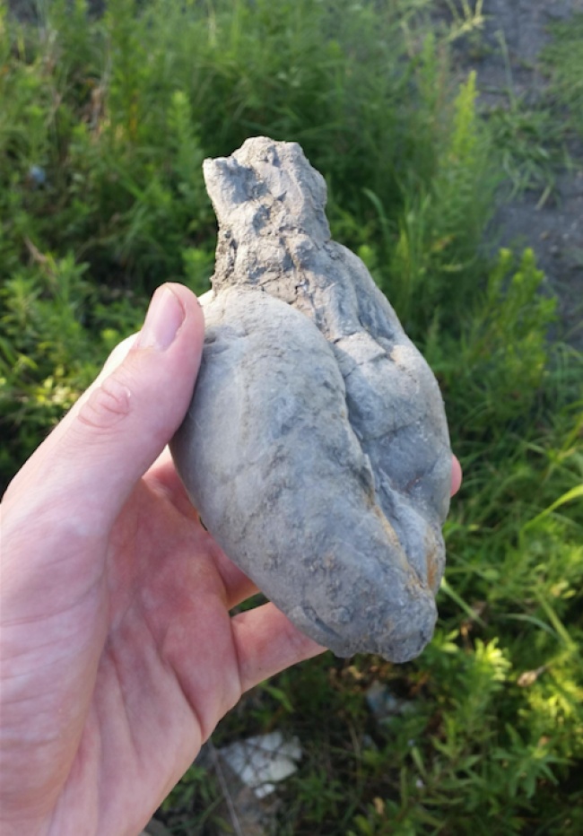 Illustration de l'article : 27 personnes partagent avec vous leurs découvertes incroyables