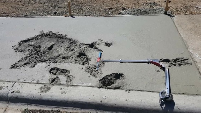 Illustration de l'article : 24 des pires poisses les plus redoutées