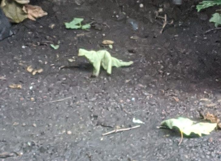 Illustration de l'article : Ces 20 photos qui mettent en avant certaines trouvailles