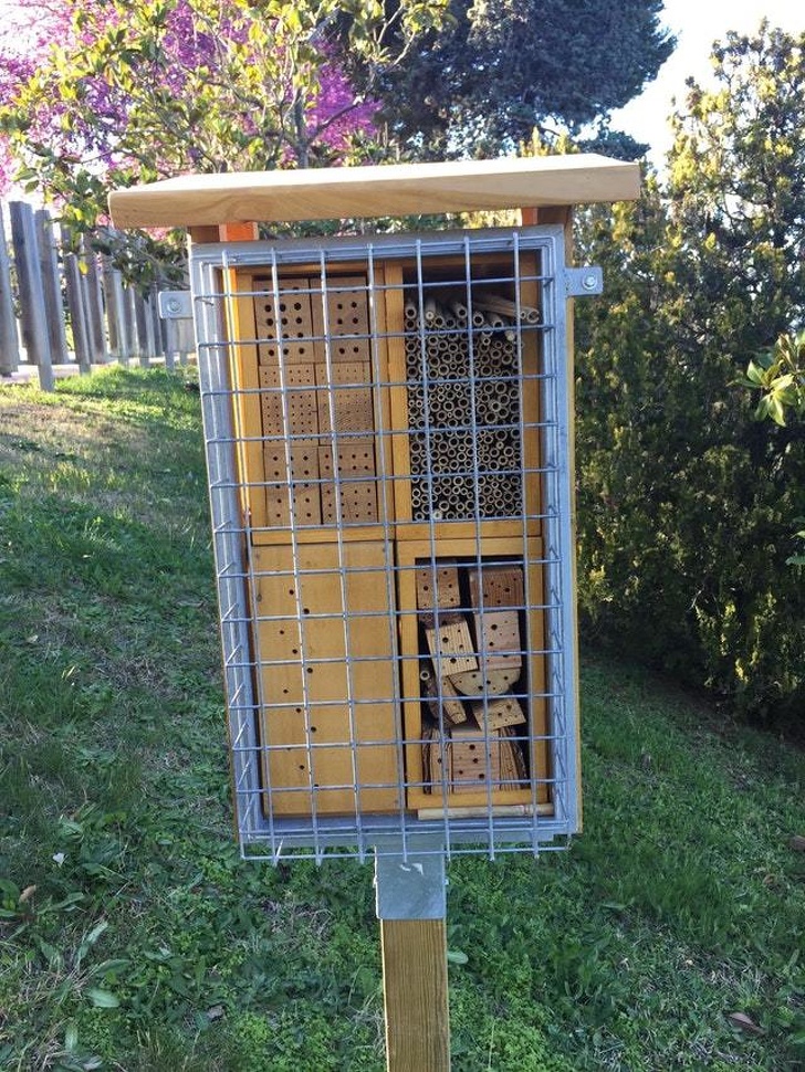 Illustration de l'article : Ces 14 curieux objets qui ont pourtant une réelle utilité