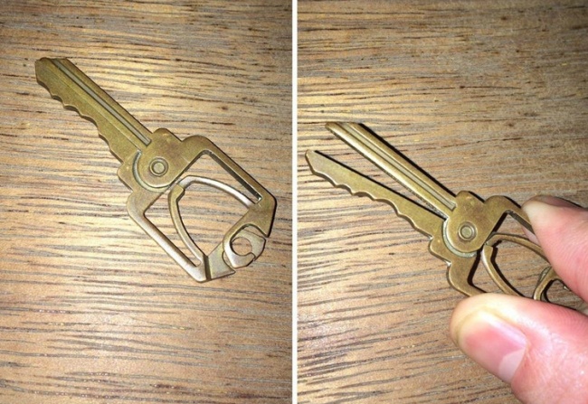 Illustration de l'article : 19 choses les plus étranges rencontrées sur la planète