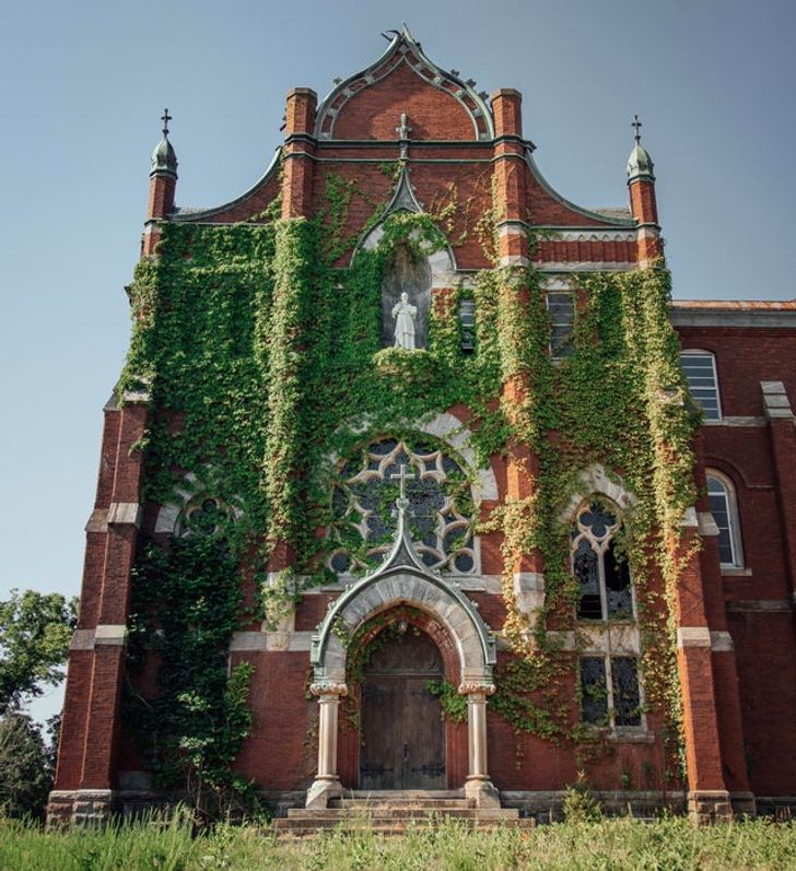 Illustration de l'article : Ces 18 photos de la nature lorsqu'elle reprend ses droits