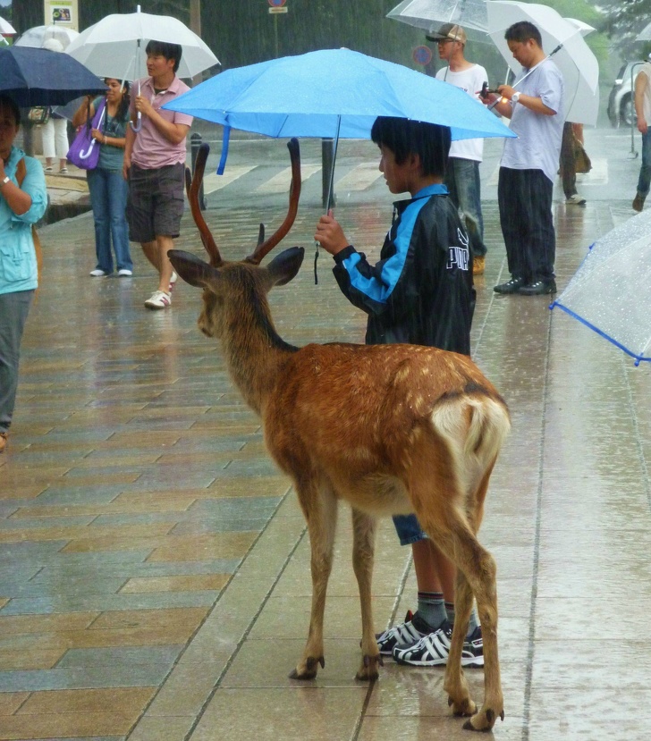 Illustration de l'article : Ces 16 preuves de gentillesse qui ont rendu le monde meilleur
