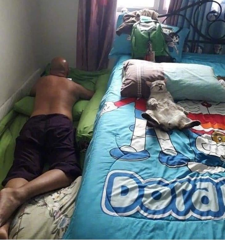 Illustration de l'article : Ces 20 personnes qui étaient contre adopter un animal de compagnie