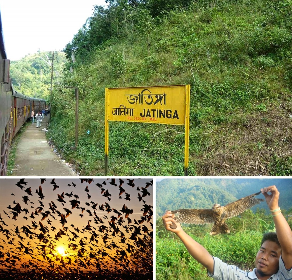 Illustration de l'article : 15 phénomènes naturels qui prouvent la force de la planète Terre